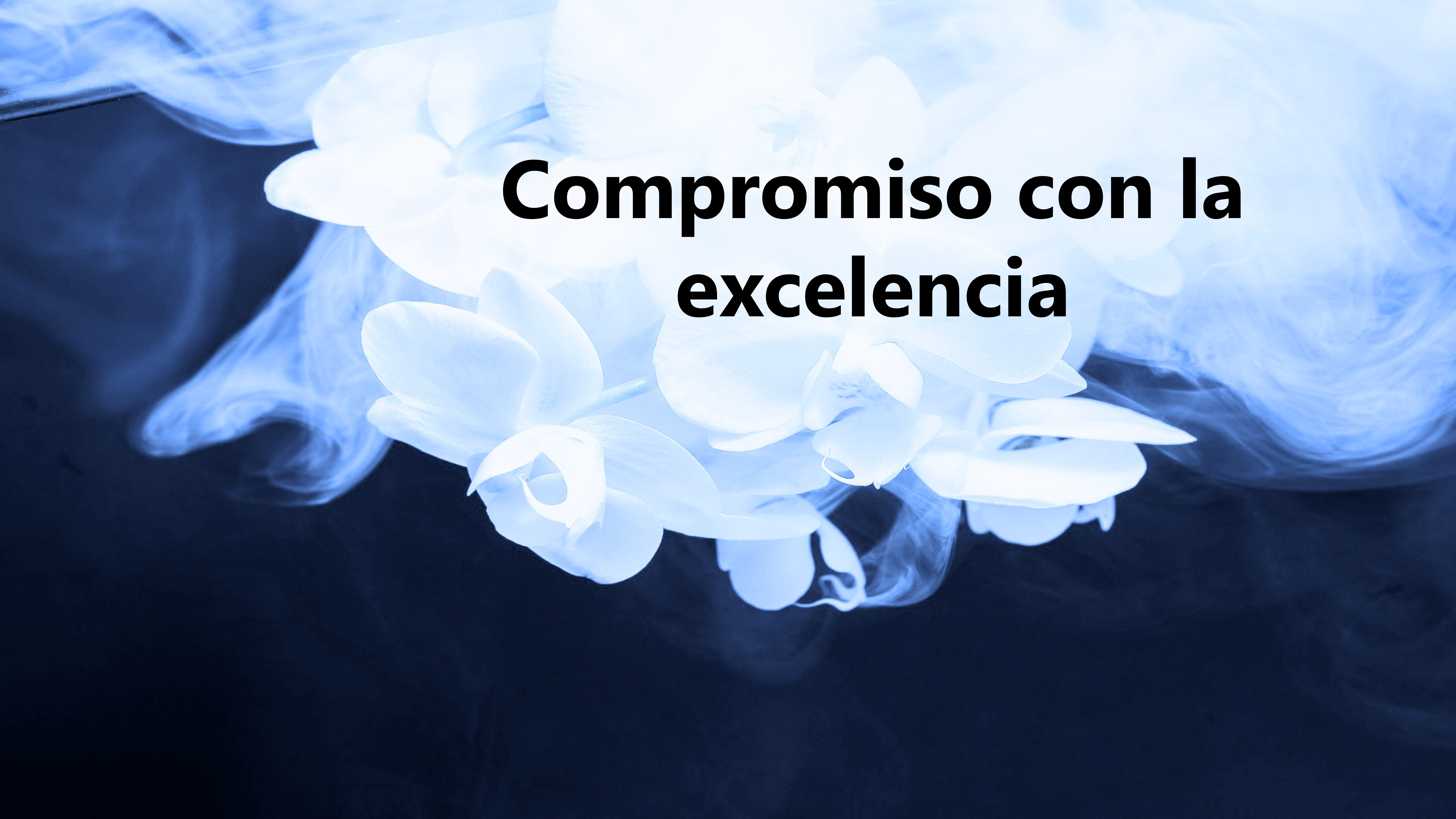 Ofrecemos educación de alta calidad en todas las ramas del  conocimiento para formar a profesionales competentes.