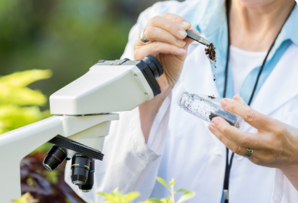 Ciencias Naturales, Experimentales y Tecnología II