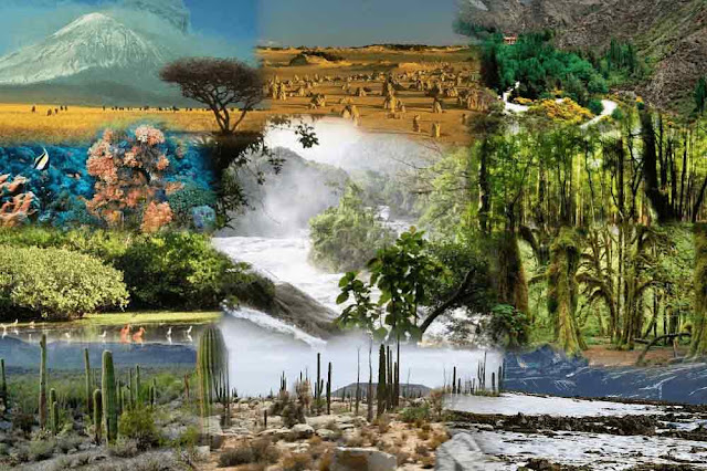 Ciencias Naturales, Experimentales y Tecnología III